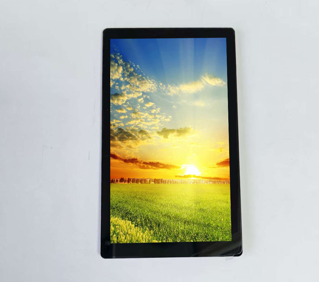 4,3-дюймовый INCELL LCD с разрешением 480*800 и сенсорным экраном, ультратонким и недорогим.